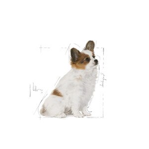 ROYAL CANIN® X-Small Puppy 1.5kg
